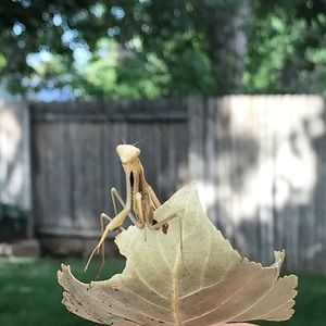 Meet your Posher, Rebecca